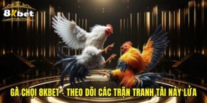 Gà Chọi 8KBET - Theo Dõi Các Trận Tranh Tài Nảy Lửa