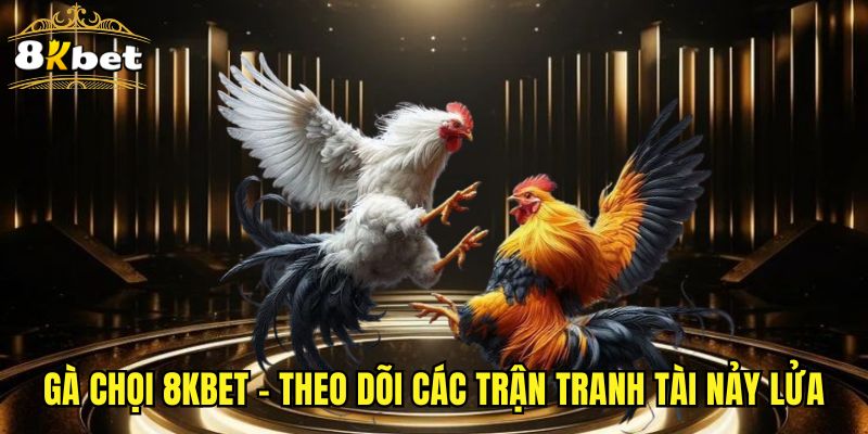 Gà Chọi 8KBET - Theo Dõi Các Trận Tranh Tài Nảy Lửa